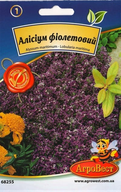 Насіння квітів Алісіум фіолетовий 0,2г Агровест