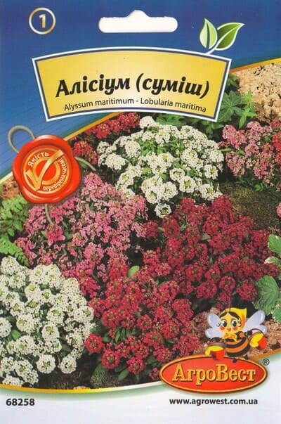 Насіння квітів Алісіум (суміш) 0,2г Агровест