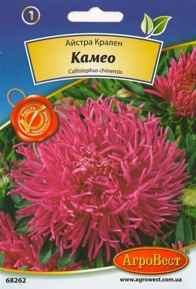 Насіння квітів Айстра Крален Камео 0,3г Агровест