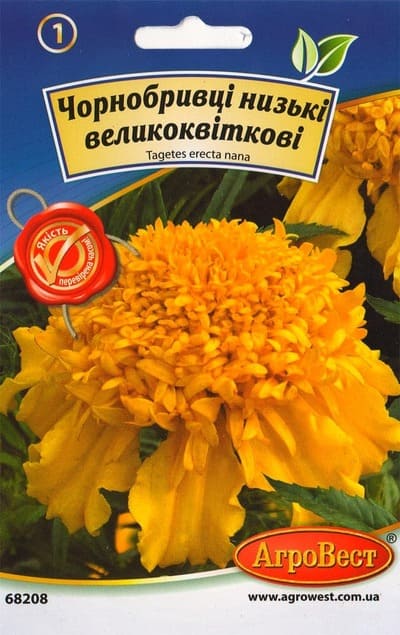 Насіння квітів Чорнобривці низькі великоквіткові 0,3г Агровест