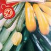 Насіння кабачка-цукіні (суміш сортів) 10г Агровест