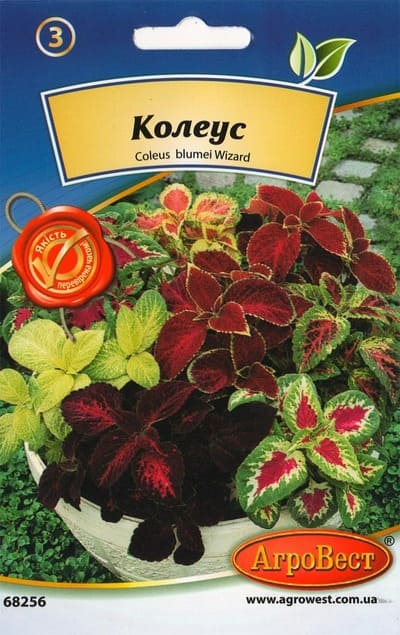 Насіння квітів Колеус 0,1г Агровест