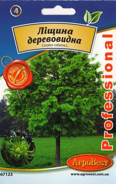 Насіння Ліщина деревовидна 5шт Агровест