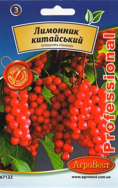 Насіння Лимонник китайський 10шт Агровест