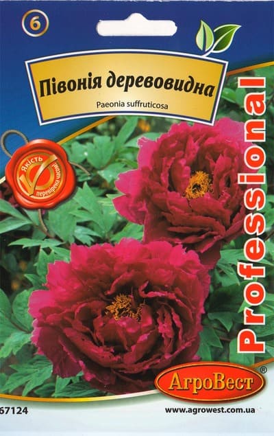 Насіння Півонія деревовидна 5 шт Агровест