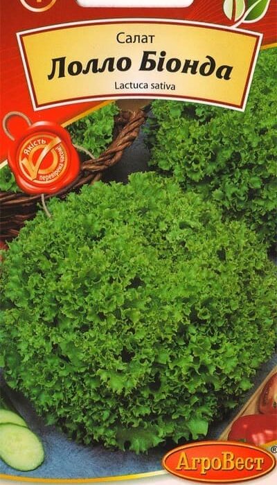 Насіння салату Лолло Біонда 1г Агровест