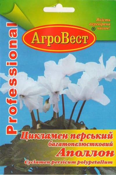 Насіння квітів Цикламен перський Аполон 5 шт Агровест