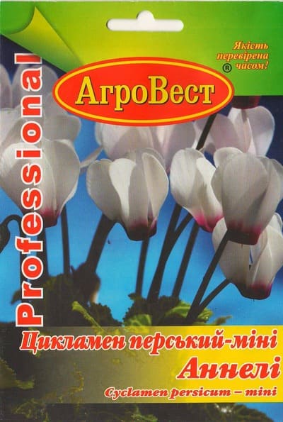 Насіння квітів Цикламен перський-міні Аннелі 5 шт Агровест
