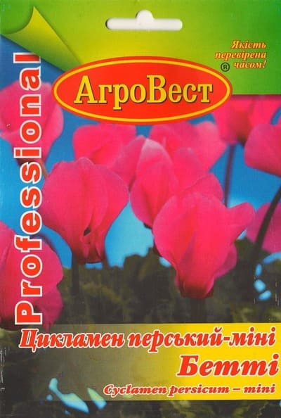 Насіння квітів Цикламен перський-міні Бетті 5 шт Агровест