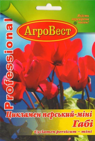 Насіння квітів Цикламен перський-міні Габі 5 шт Агровест