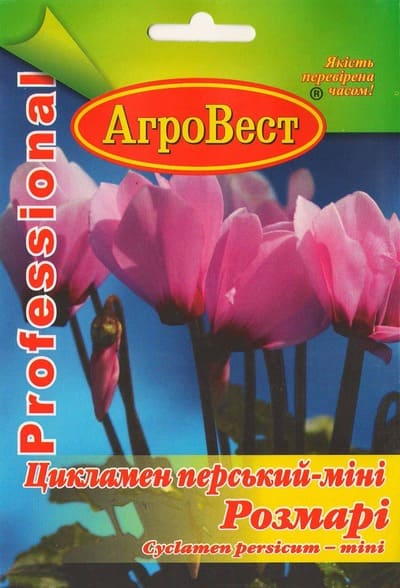 Насіння квітів Цикламен перський-міні Розмарі 5 шт Агровест