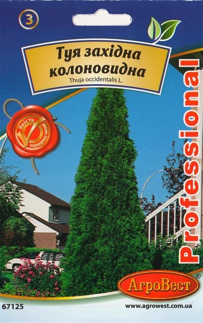 Насіння Туя західна колоновидна 0,3г Агровест