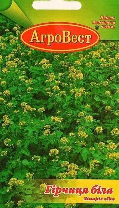 Насіння Гірчиця біла 10г Агровест