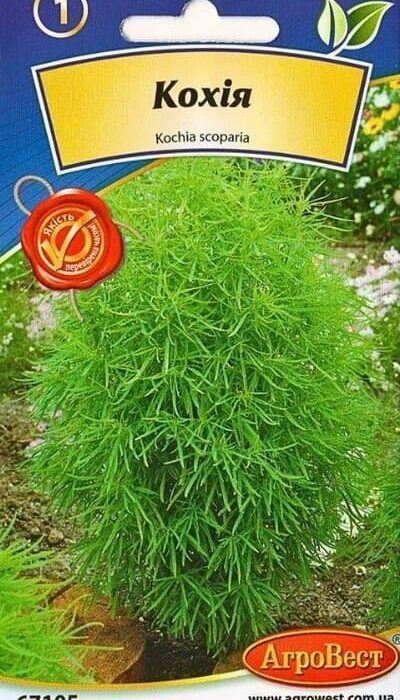 Насіння Кохія 1г Агровест