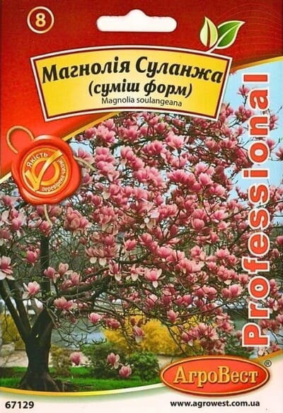 Насіння Магнолія Суланджа 5шт Агровест