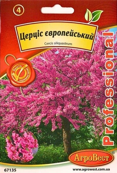 Насіння Церціс європейський 10 шт Агровест