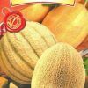 Насіння дині (суміш сортів) 1г Агровест