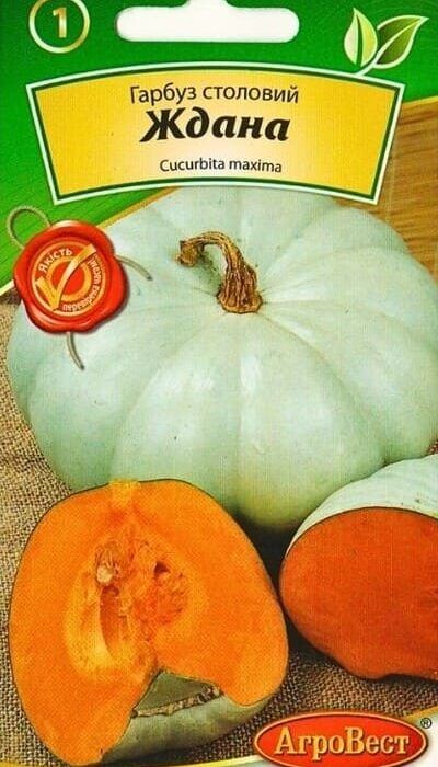 Насіння гарбуза Ждана 2г Агровест