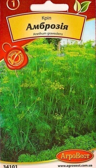 Насіння кропу Амброзія 5г Агровест