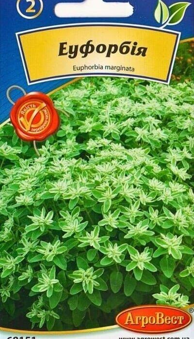 Насіння квітів Еуфорбія 0,5г Агровест