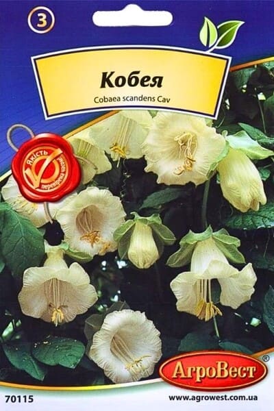 Насіння квітів Кобея біла 5 шт Агровест