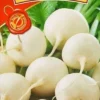 Насіння редьки Одеська 3г Агровест