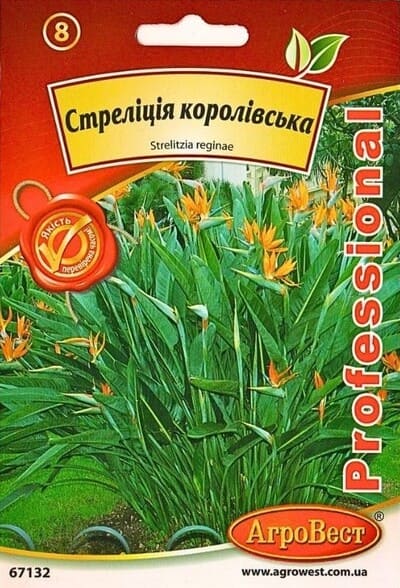 Насіння Стреліція королівська Райська пташка 5 шт Агровест