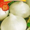 Насіння цибулі ріпчастої білоголової Альбатрос 1г Агровест
