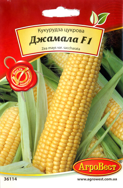 Насіння кукурудзи цукрової Джамала F1 (5г) Агровест