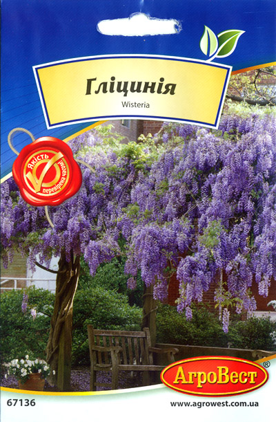 Насіння Гліцинія (wisteria)10шт Агровест