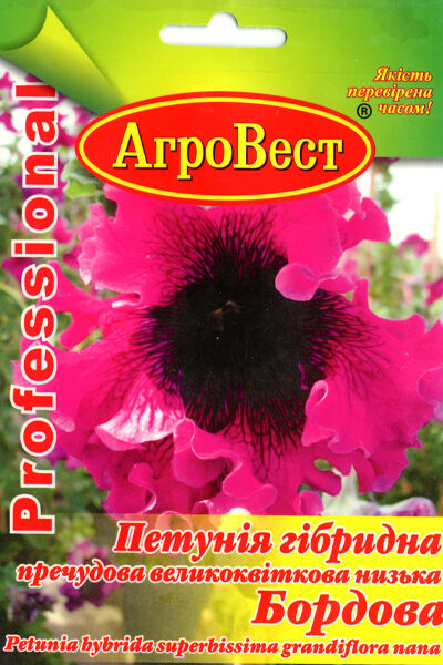 Петунія великоквіткова низька Бордова 10шт Агровест